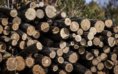 A rászorulók továbbra is számíthatnak a szociális tűzifa programra