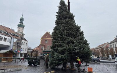 A TAEG Zrt. hathatós segítségével került helyére Sopron karácsonyfája