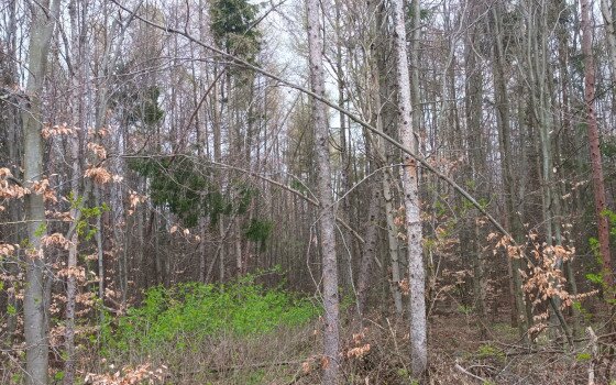 Az erős szél hatásai – mindig legyünk körültekintőek