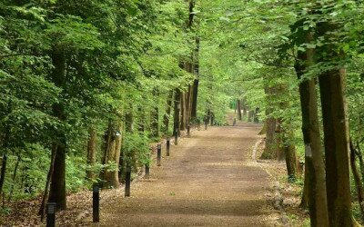 Az Ojtozi sétány földkábeleit cserélik