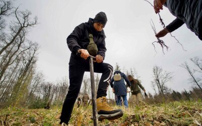 Erdők nemzetközi napja az Erdő Házában