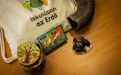 Kupac kupacs és kukacos gubacs - Indul a regisztráció a 2026-os Iskolában az Erdő Programra