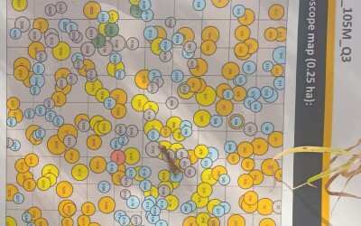 Marteloszkópos egyetemi gyakorlat a soproni erdőkben