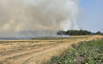Negyven hektáron pusztított a tűz Piuszpuszta közelében – a TAEG Zrt. munkatársai is segítették az oltást