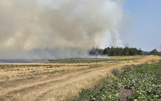 Negyven hektáron pusztított a tűz Piuszpuszta közelében – a TAEG Zrt. munkatársai is segítették az oltást