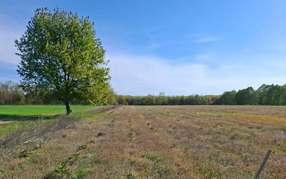 Oktatási együttműködés az agrárerdészet fejlesztéséért