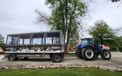 Omnibuszos szarvasbőgés-hallgató túrák indulnak