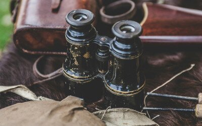 Vadásztábor a Soproni Parkerdőben