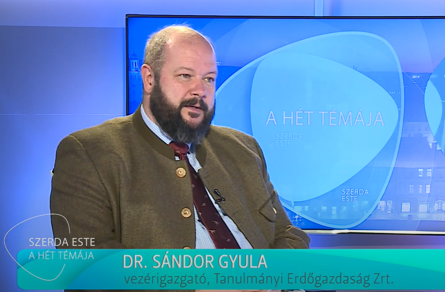 A hét témája Dr. Sándor Gyulával a Sopron TV-ben