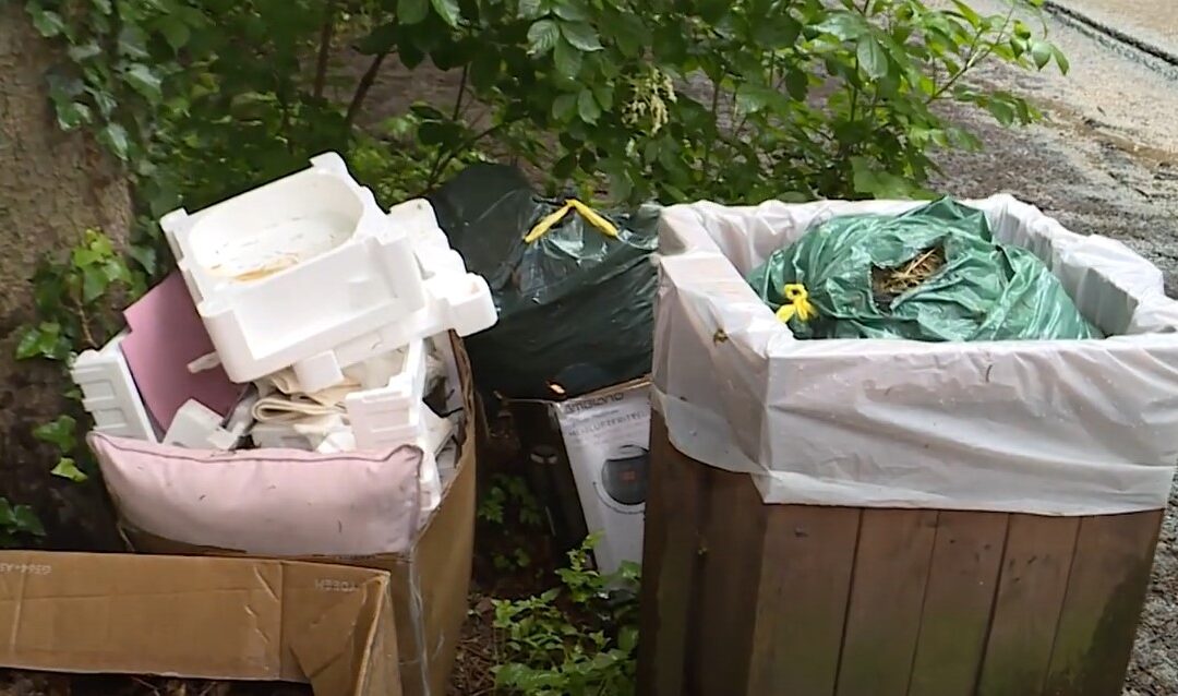 Illegális hulladék – a Soproni Parkerdőben is visszatérő problémát jelent a szemetelés