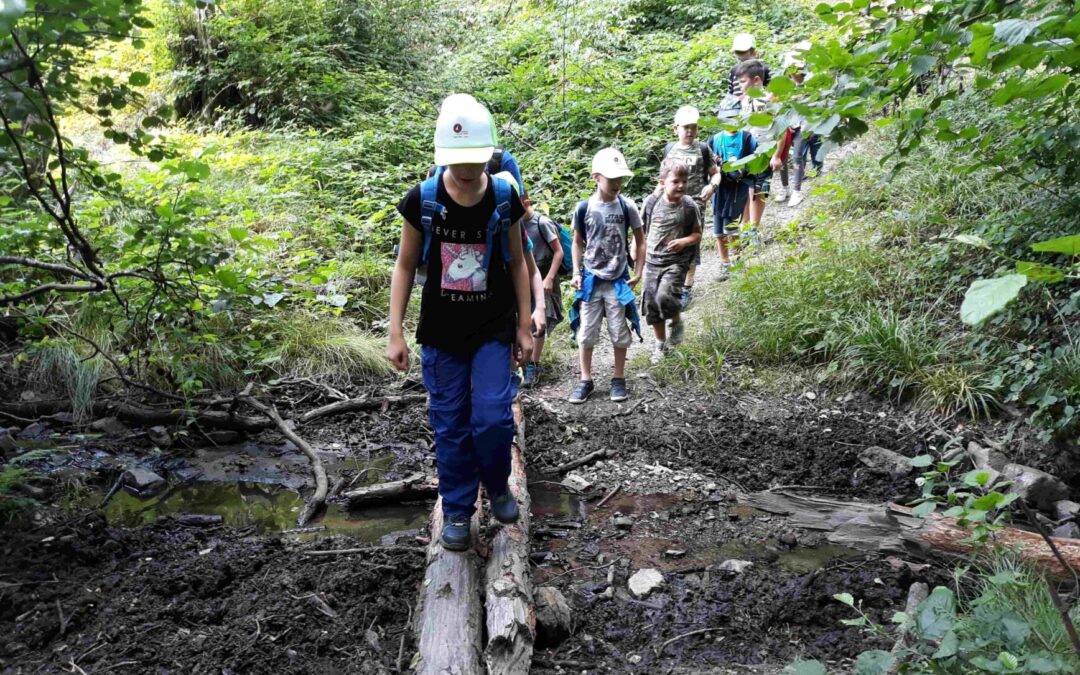 5 éves a Muck Endre Erdészeti Erdei Iskola – Meghívó