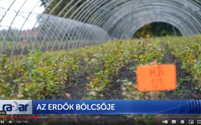 „Az erdők bölcsője” riportfilm