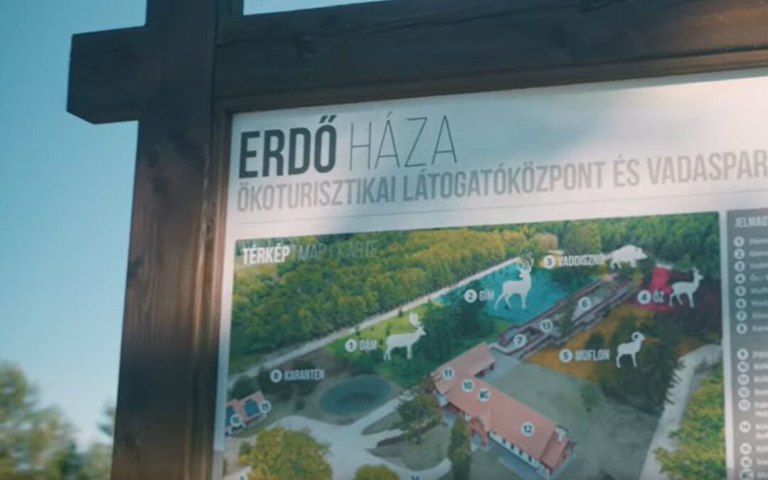 Mesés riporfilm az Erdő Házáról