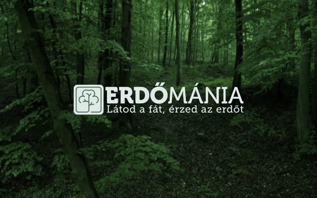 Erdész vagyok – az Erdőmánia Magazin új sorozata